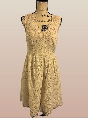 Lulu’s Love Swept White Lace Midi Skater Dress With Pockets Size Large